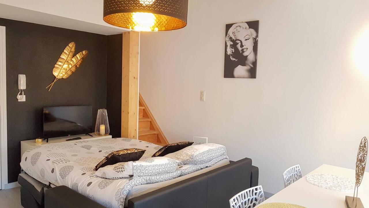 Les Nuits D'Anis - Appartements Hypercentre Le Puy-en-Velay Екстер'єр фото