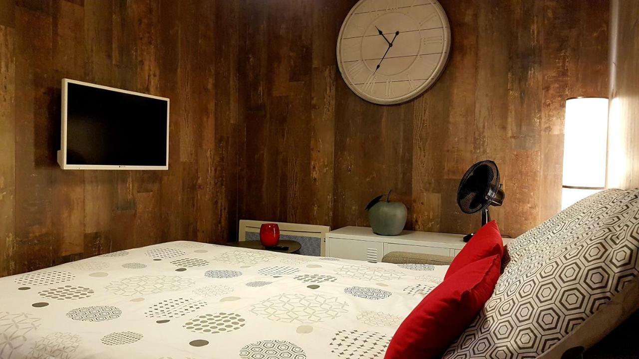 Les Nuits D'Anis - Appartements Hypercentre Le Puy-en-Velay Екстер'єр фото
